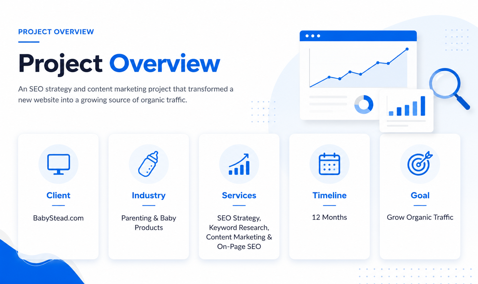 Project Overview for SEO Case Study